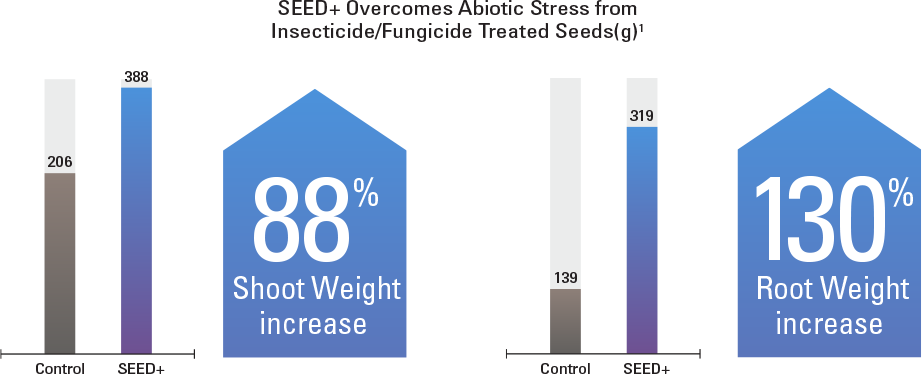 SEED+ overcomes abiotic stress from insecticide/fungicide treated seeds. It resulted in an 88% increase in shoot weight and a 130% increase in root weight.