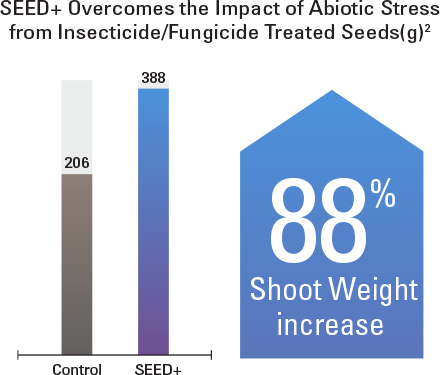 SEED+ overcomes abiotic stress from insecticide/fungicide treated seeds. It resulted in an 88% increase in shoot weight.